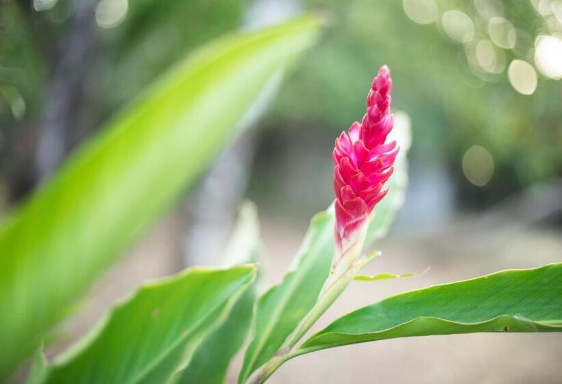 호텔 Santa Catalina Panamá