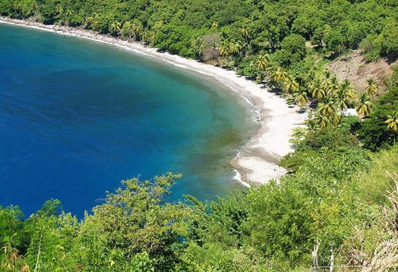 Отель Tet Rouge Resort