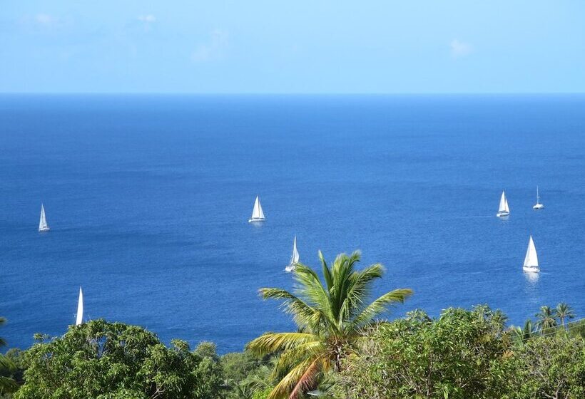 Отель Tet Rouge Resort