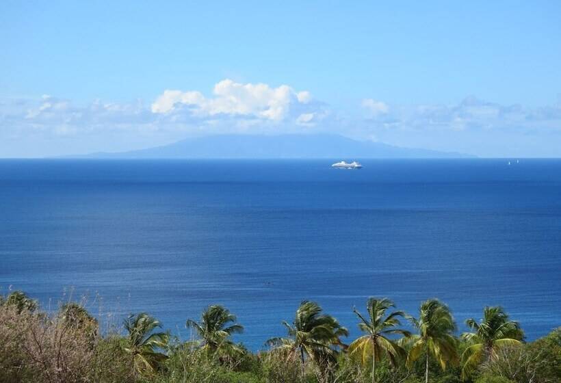 Отель Tet Rouge Resort