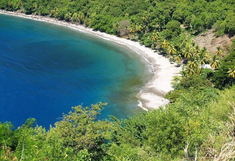 Отель Tet Rouge Resort