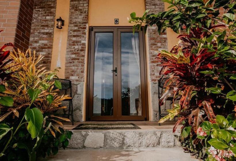 فندق The Golden Frog Inn