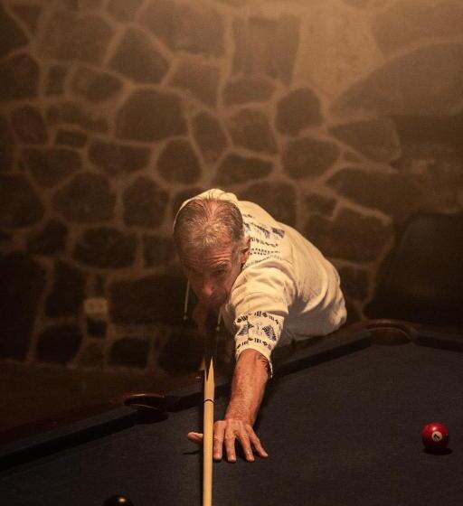 فندق The Golden Frog Inn