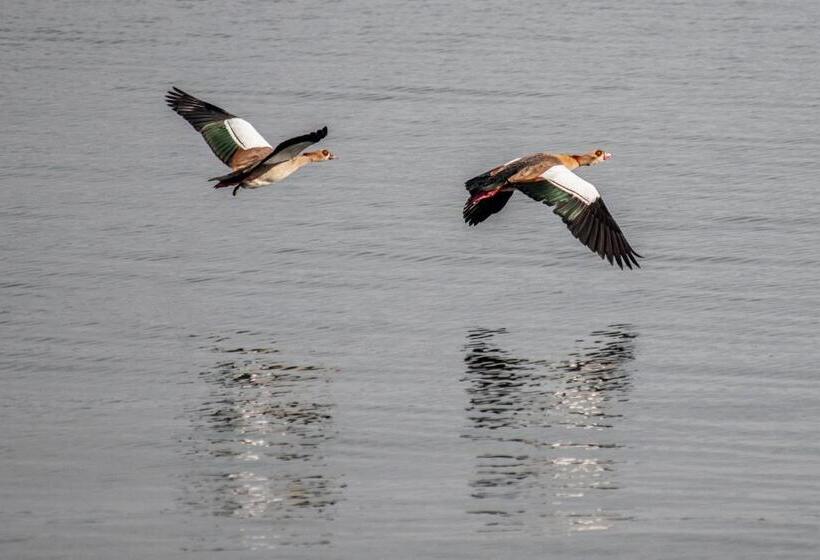 בית מלון כפרי Tilapia