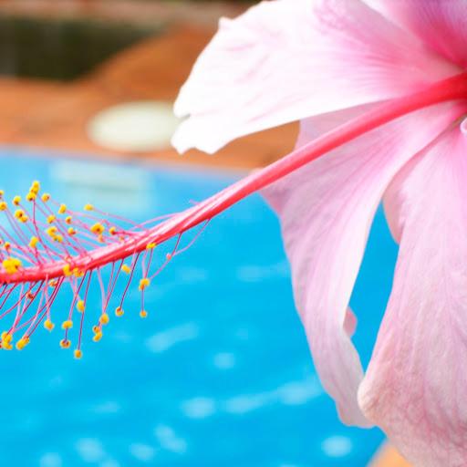 Tulia Boutique Hotel & Spa