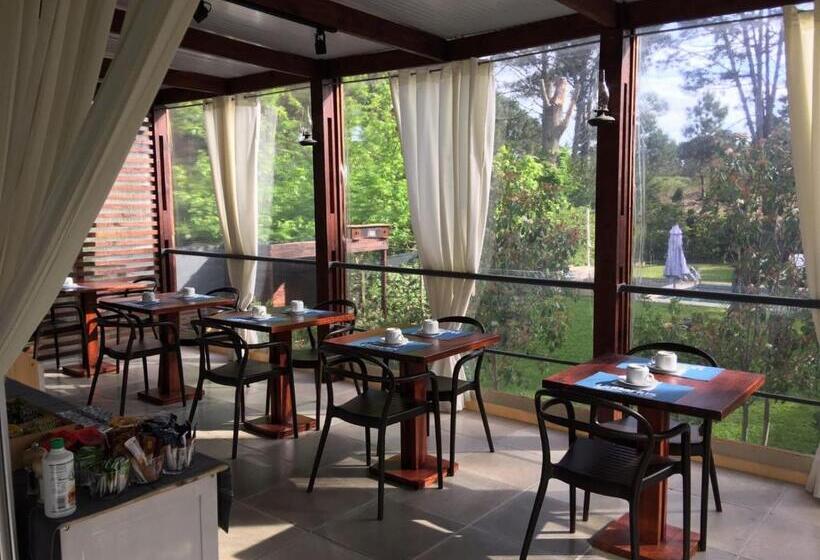 בית מלון כפרי Undarius