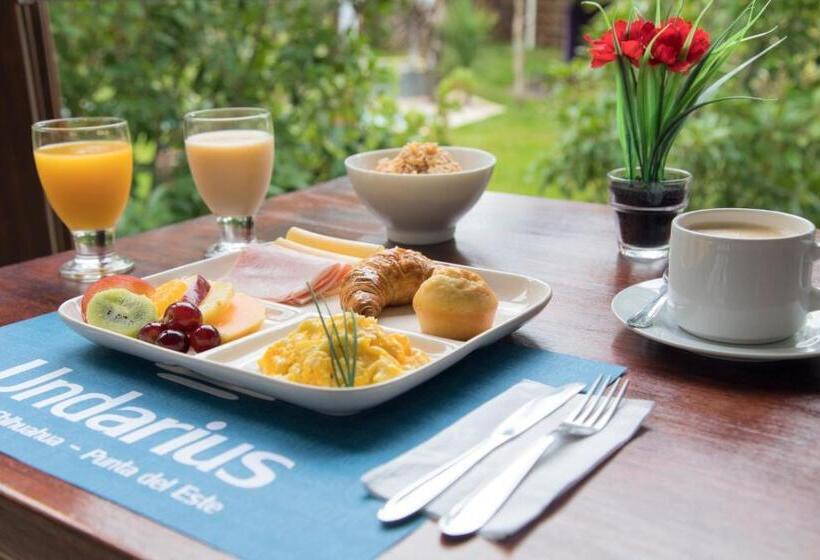 בית מלון כפרי Undarius