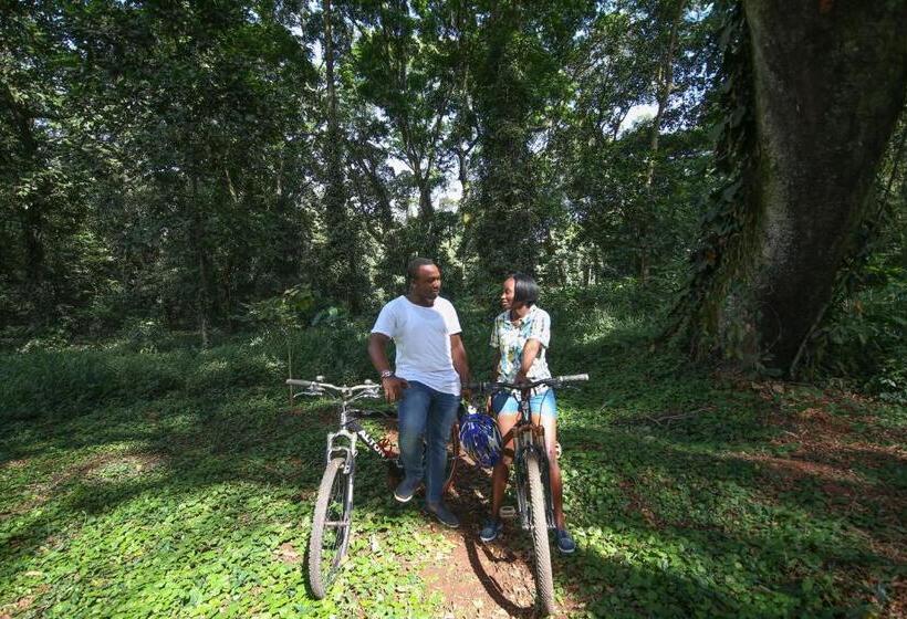 هتل Victoria Forest Resort