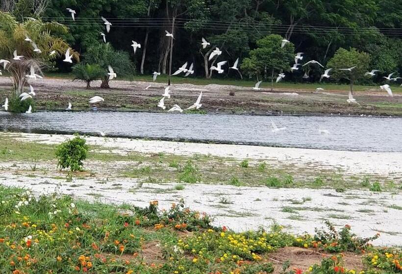 هتل Victoria Forest Resort