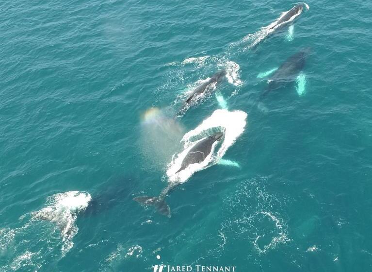 Отель Villa Condesa Del Mar