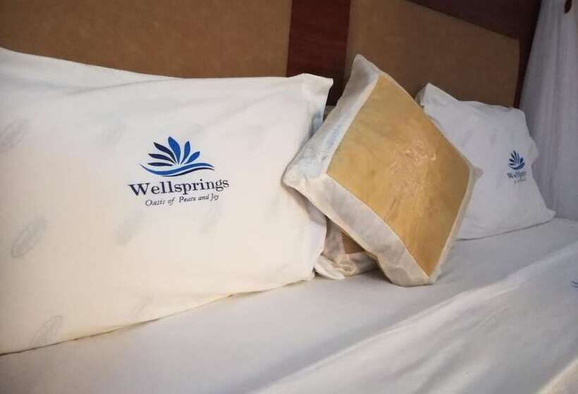 هتل Wellsprings