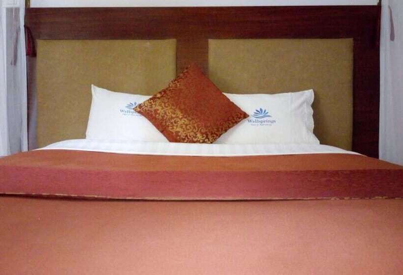 هتل Wellsprings