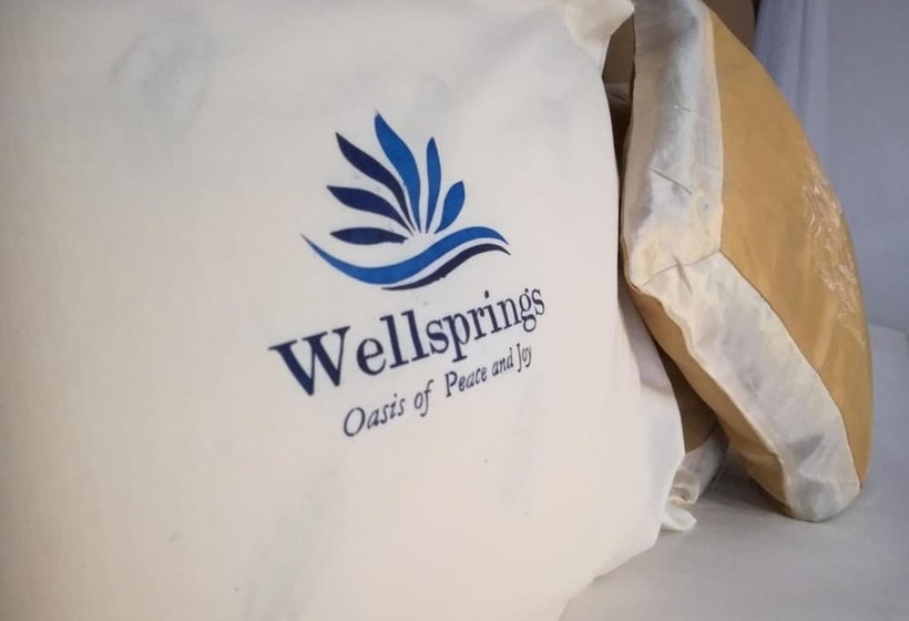هتل Wellsprings