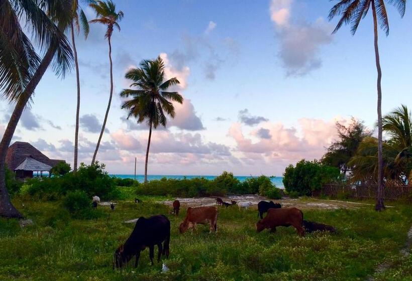 בית מלון כפרי Zanzistar Lodge