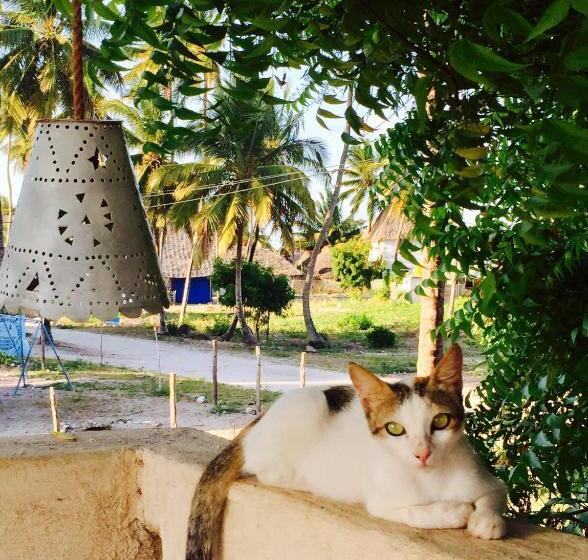 בית מלון כפרי Zanzistar Lodge