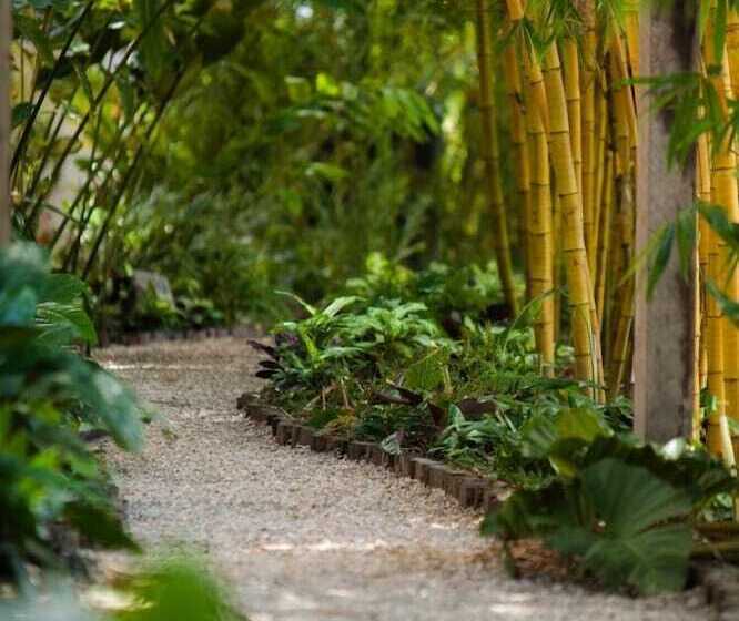 Jacana Amazon Wellness Resort