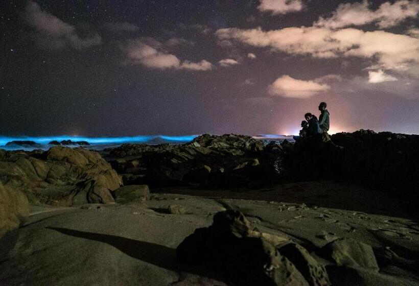 Piedra Alta Hostel & Suites