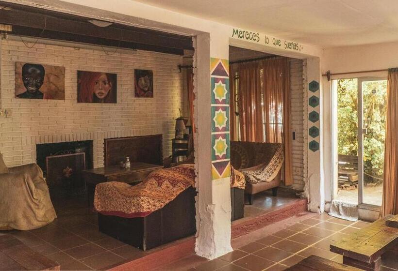 Piedra Alta Hostel & Suites