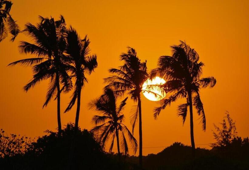 Reef & Beach Resort   Spa Jambiani