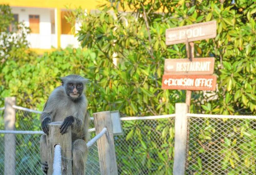 Reef & Beach Resort   Spa Jambiani