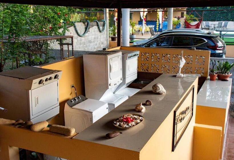 Roxy S Bed & Breakfast