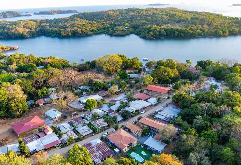 Roxy S Bed & Breakfast