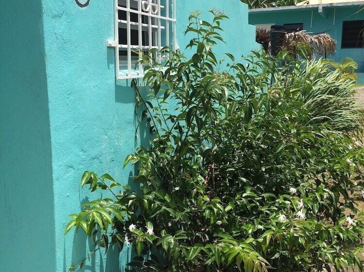 Vicky S Keys Hostel