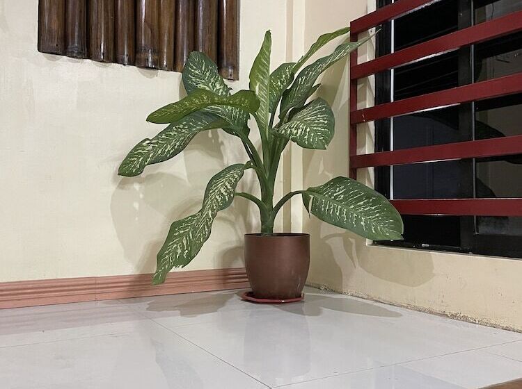 Bahay Ni Ate Bed And Breakfast