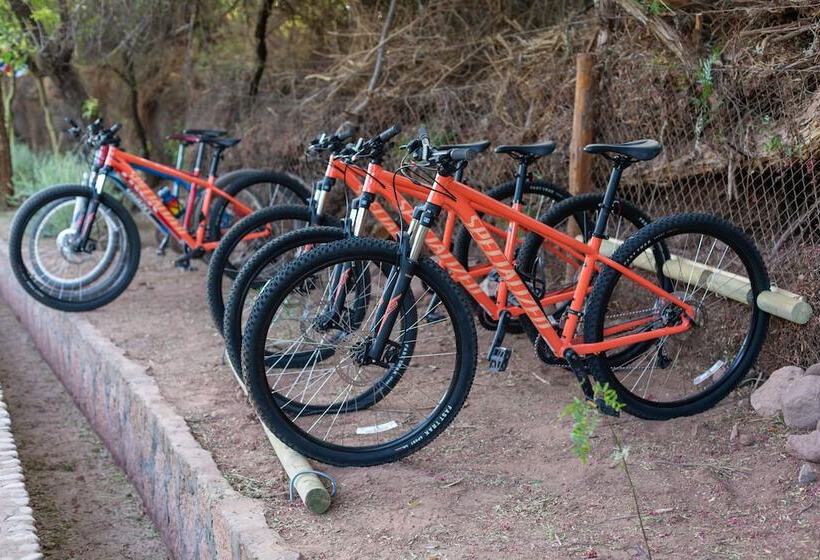 住宿加早餐 Casa Solcor