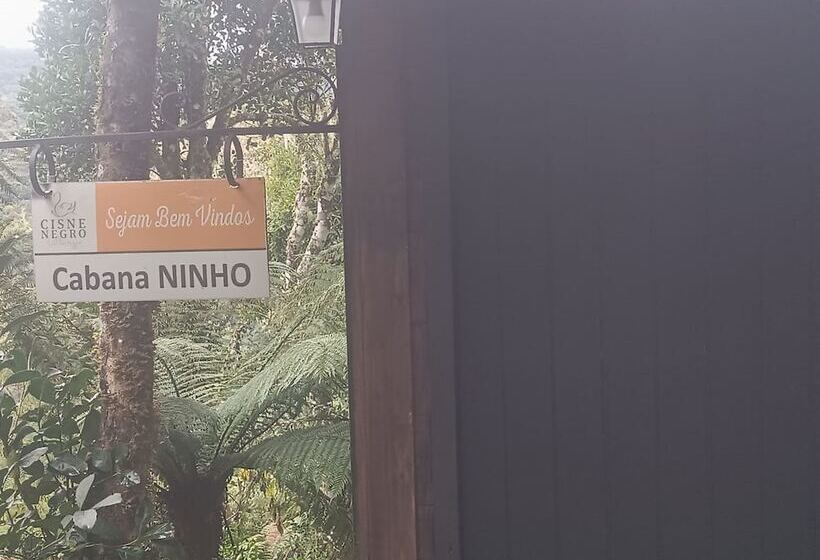 Cisne Negro Villarejo