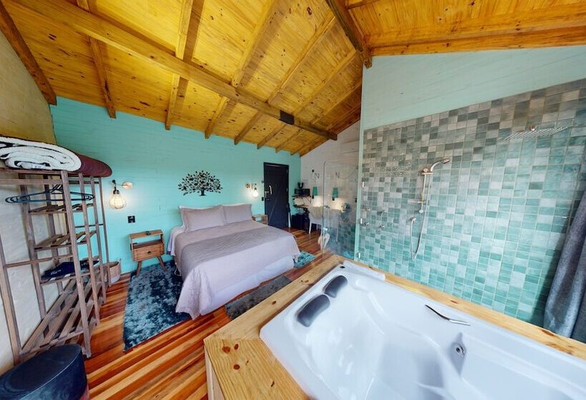 Cisne Negro Villarejo