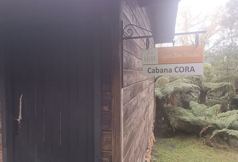 Cisne Negro Villarejo