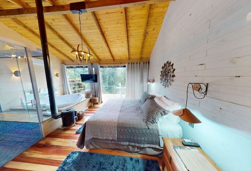 Cisne Negro Villarejo