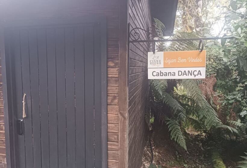 Cisne Negro Villarejo