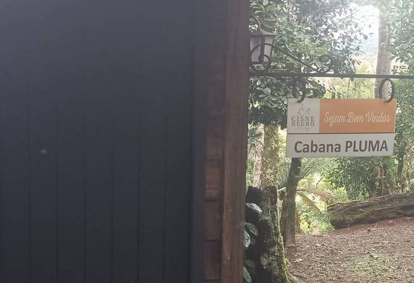 Cisne Negro Villarejo