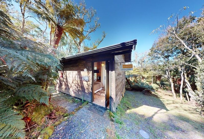 Cisne Negro Villarejo