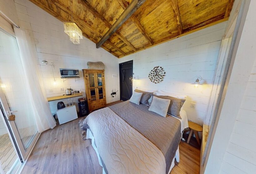 Cisne Negro Villarejo