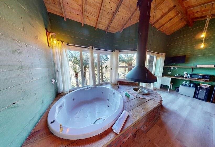 Cisne Negro Villarejo