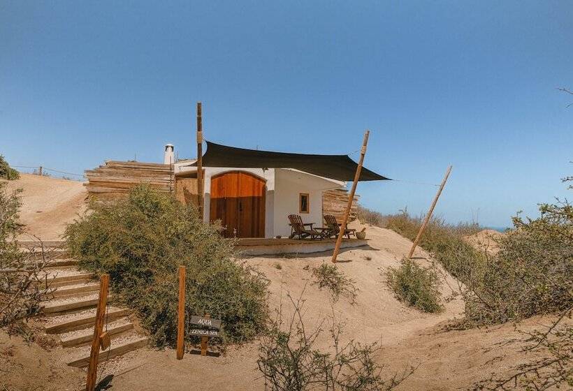 فندق The White Lodge