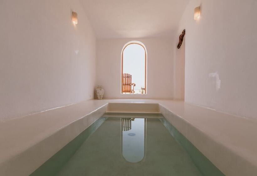 فندق The White Lodge