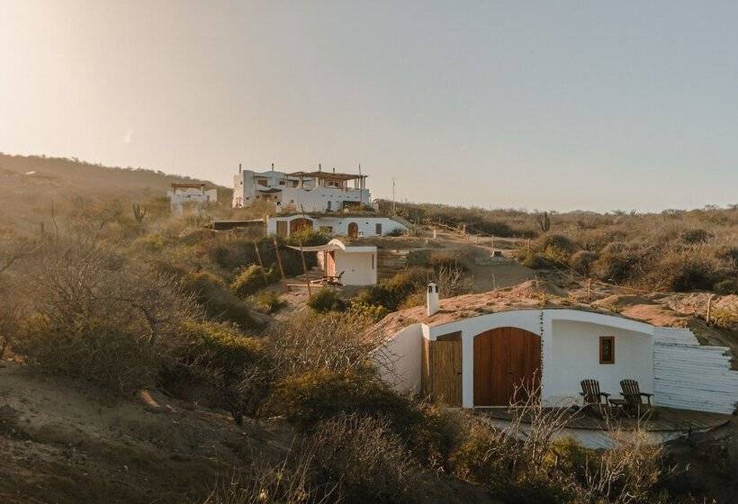 فندق The White Lodge