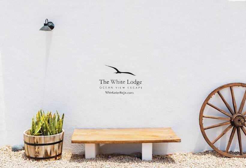 فندق The White Lodge