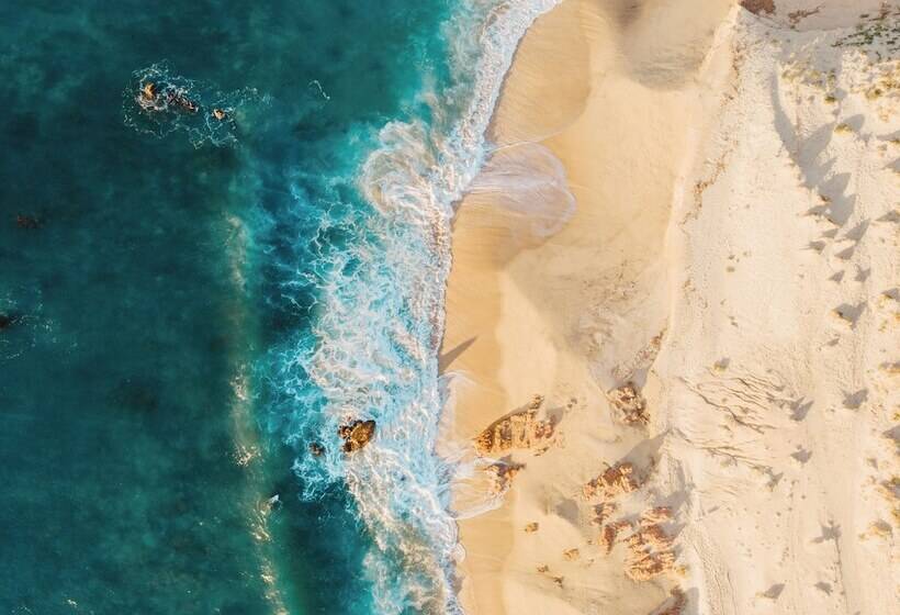 فندق The White Lodge