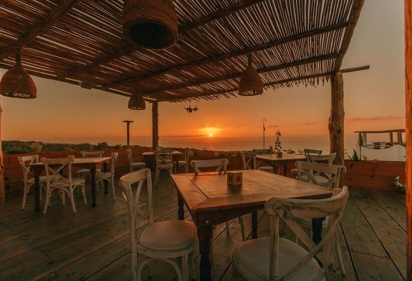 فندق The White Lodge