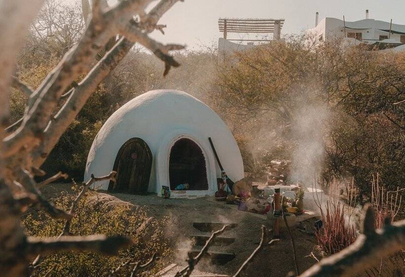 فندق The White Lodge