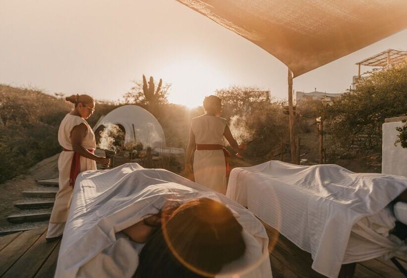 فندق The White Lodge