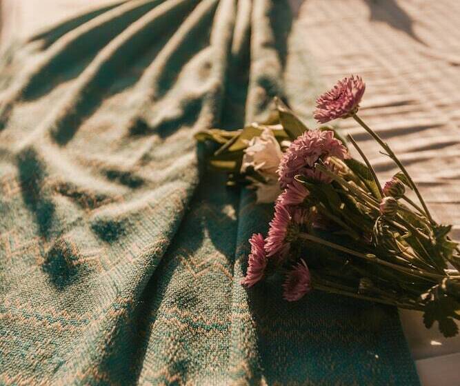 فندق The White Lodge