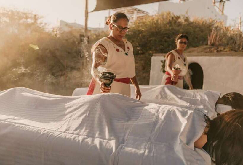 فندق The White Lodge