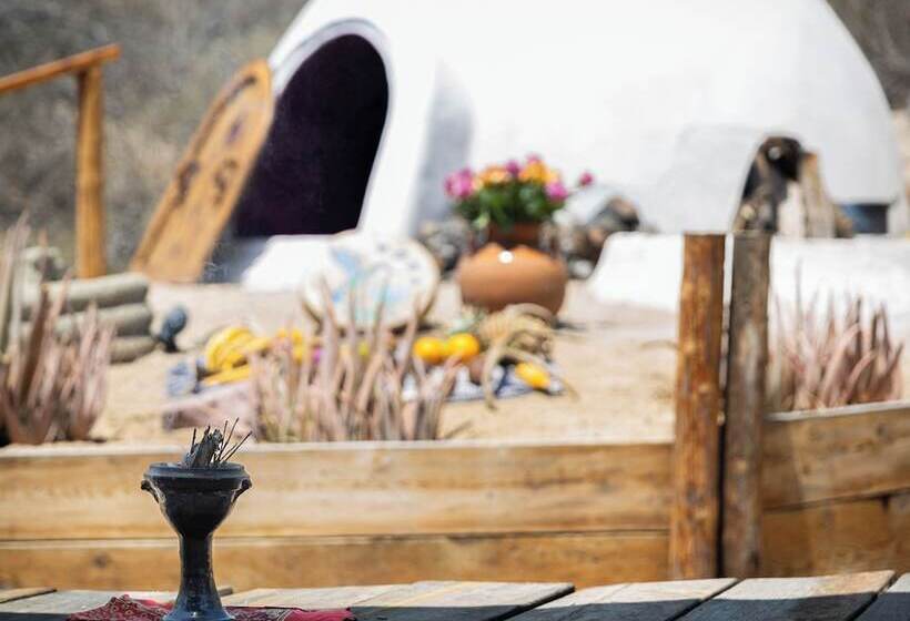 فندق The White Lodge