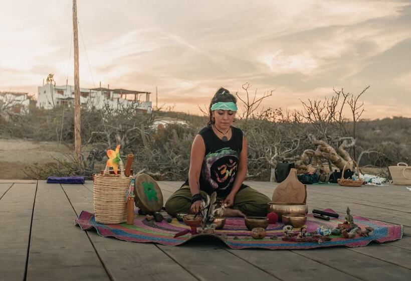 فندق The White Lodge